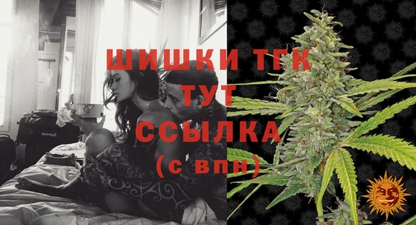 дмт Богородск