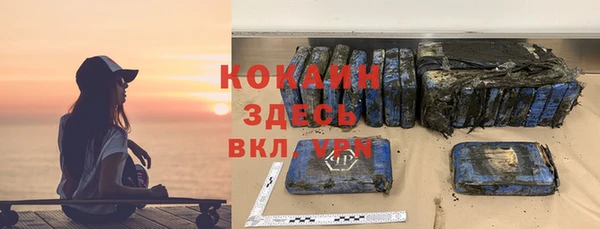 дмт Богородск
