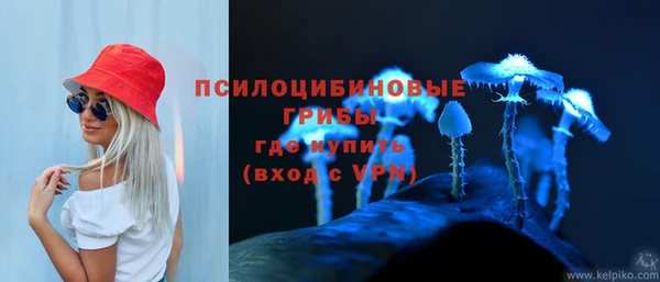 дмт Богородск