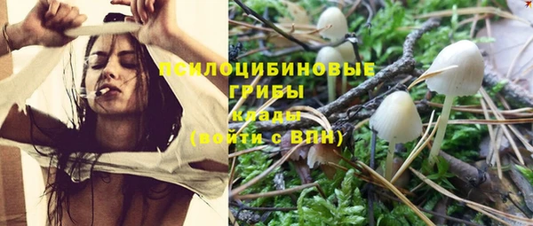 MESCALINE Богданович