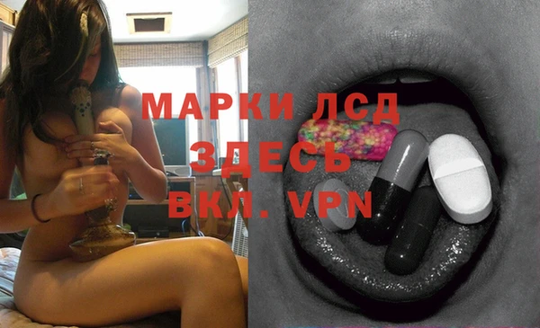 PSILOCYBIN Бугульма