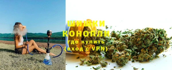 PSILOCYBIN Бугульма
