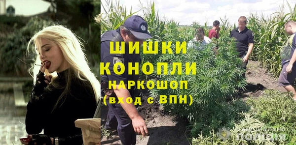 PSILOCYBIN Бугульма